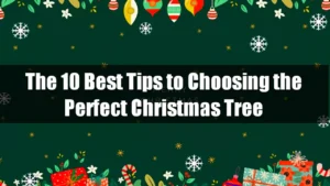 Choosing the Perfect Christmas Tree