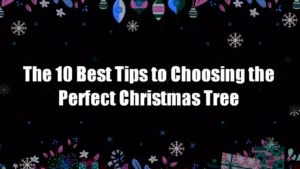 Top 7 Christmas Tree Trends