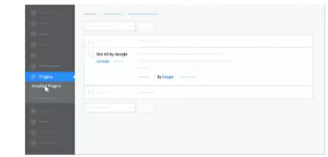 Google Site Kit 