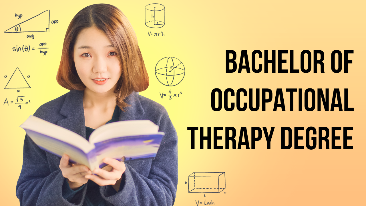 bachelor thesis occupational therapy