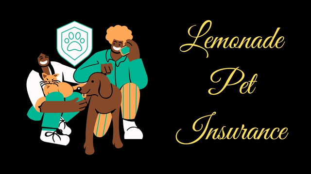 Lemonade Pet Insurance