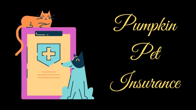 Pumpkin Pet Insurance