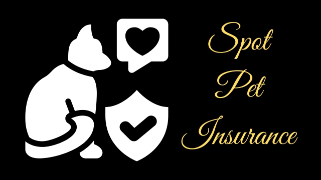 Spot Pet Insurance